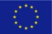 EU_logo.jpg_1092184615.jpg
