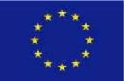 EU_logo.jpg_1092184615.jpg